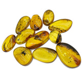 Fossil Amber Free Shape Cabochons